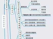 视频助力老年人与残疾人无障碍沟通指南