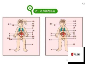 如何正确引导孩子认识身体敏感部位：关注儿童性教育的重要性