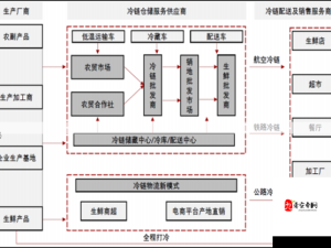 欧美禽类胶配方精选：全面解析与实用指南