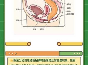 阴道分泌物呈现白色泡沫状的原因解析