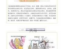 安全进行口腔与面部亲密接触的指南：了解健康与防护措施