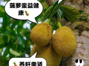 菠萝蜜的寓意与象征：深度解读其文化内涵