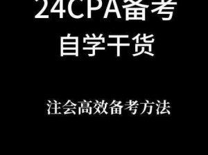 高效备考CPA考试并顺利通过的实用指南