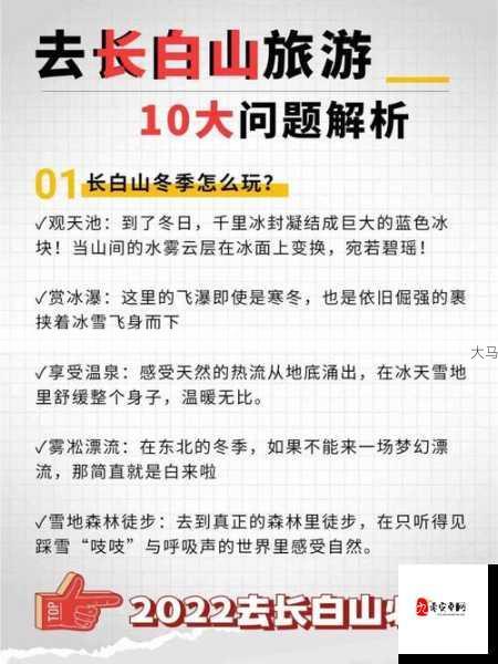 揭秘a：常见疑问与解答全解析