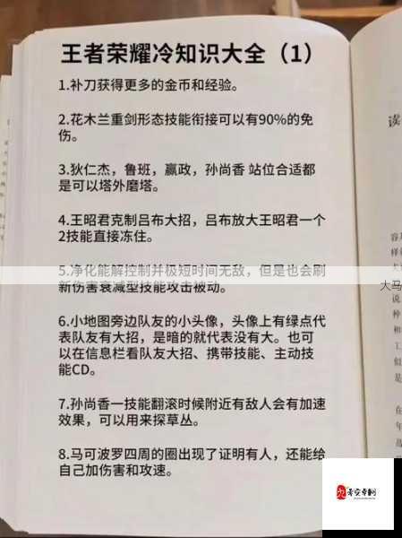 王者荣耀冷知识大揭秘，如何快速成为荣耀王者？