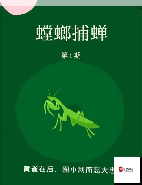 黄雀背后的秘密：螳螂捕蝉时为何总有黄雀窥视？