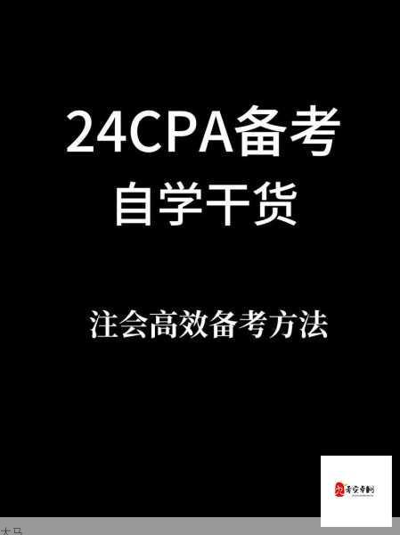 高效备考CPA考试并顺利通过的实用指南