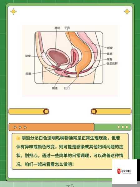 阴道分泌物呈现白色泡沫状的原因解析